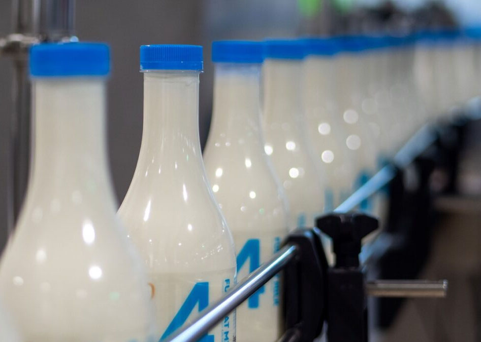 شیر های کم چرب و پر چرب دوماس