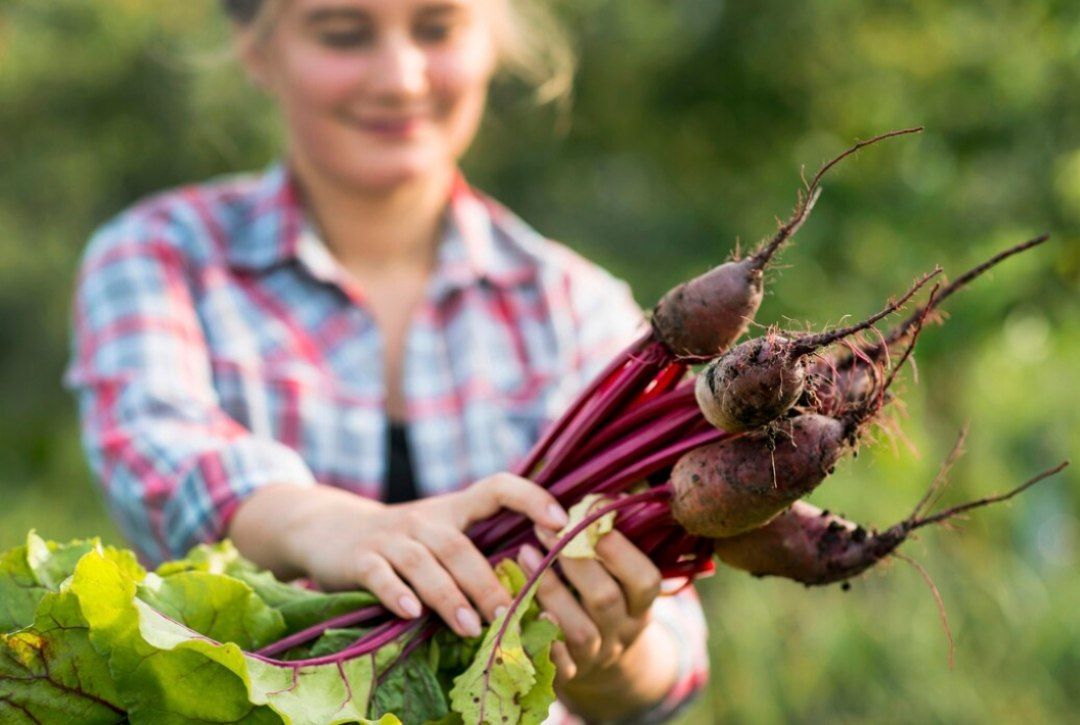 ۱5 فایده مهم چغندر برای سلامتی