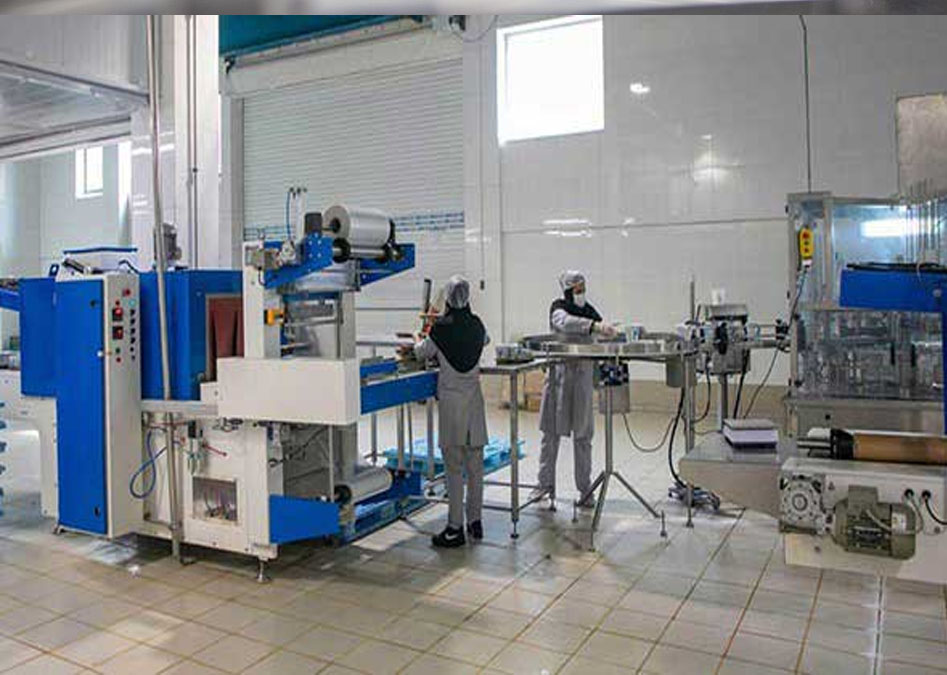 پنیر های متنوع تمیس در طعم های دلپذیر