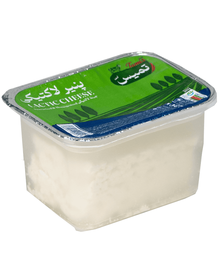 پنیر لاکتیک 100 گرمی دهانه 95