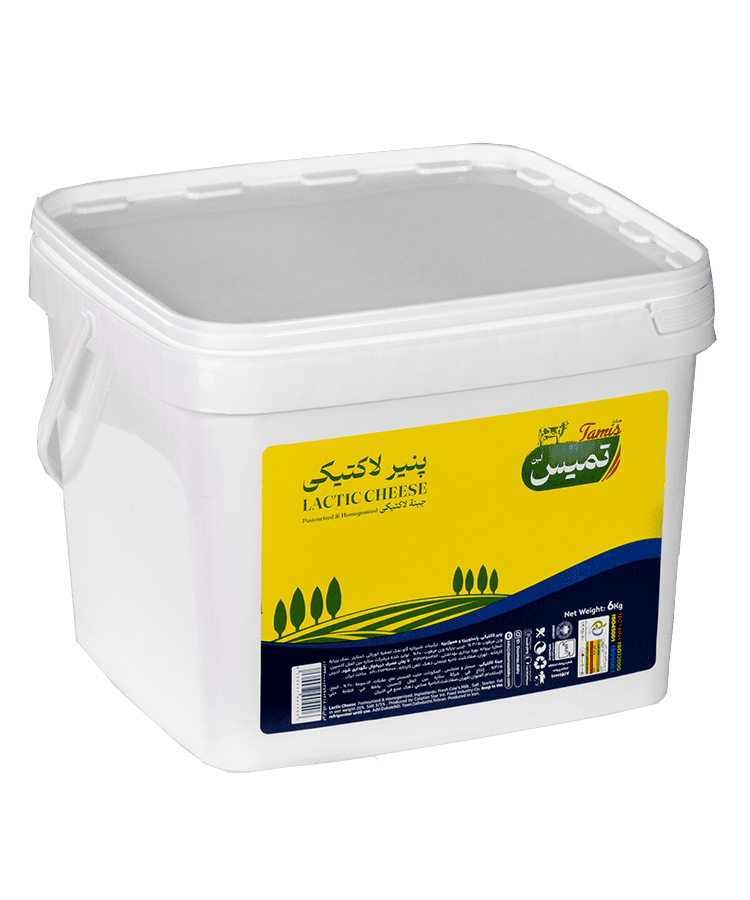پنیر لاکتیک سطل 6 کیلویی
