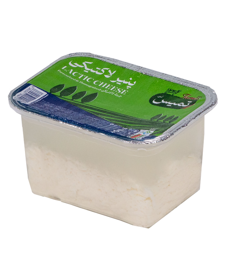 پنیر لاکتیک 600 گرمی