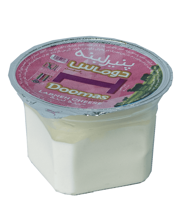 پنیر لبنه ۱۰۰

